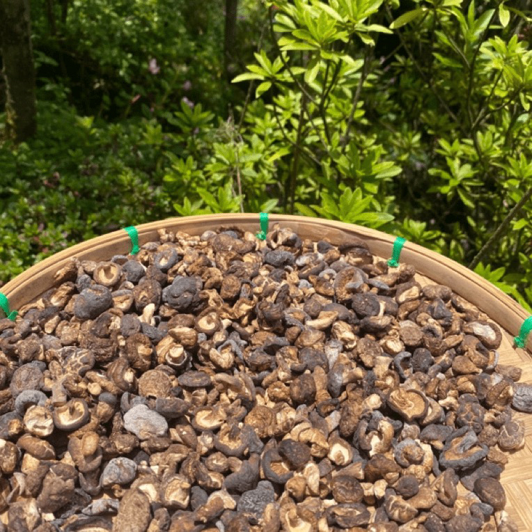 【土特产】小香菇250g