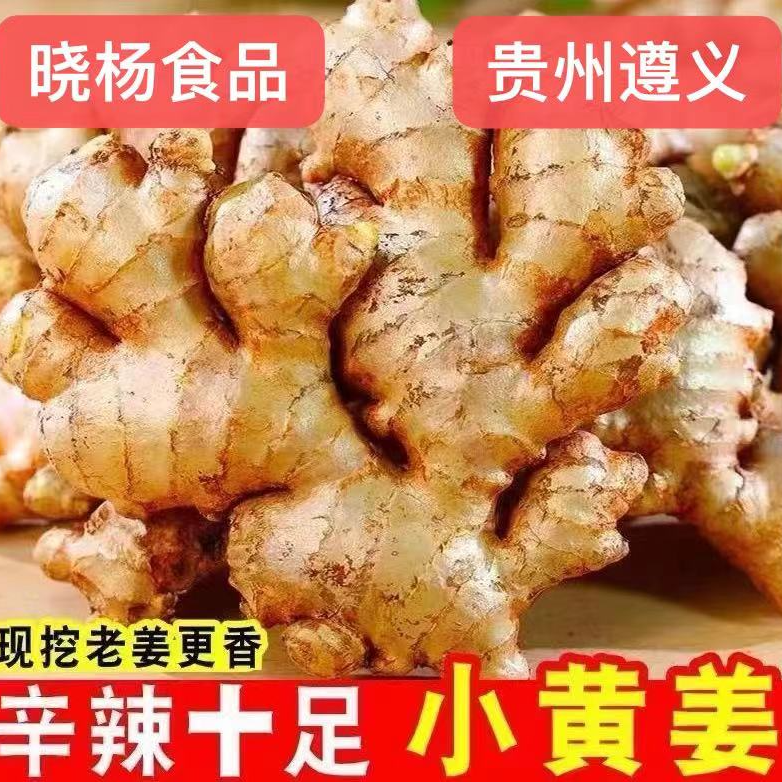 贵州特产遵义老姜小黄姜农户露天自种1-5斤包邮新鲜发货坏了包赔