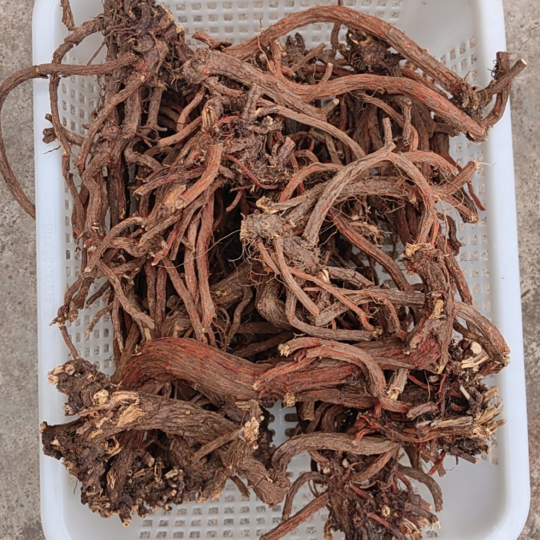 太行山野生丹参散装原株无熏硫