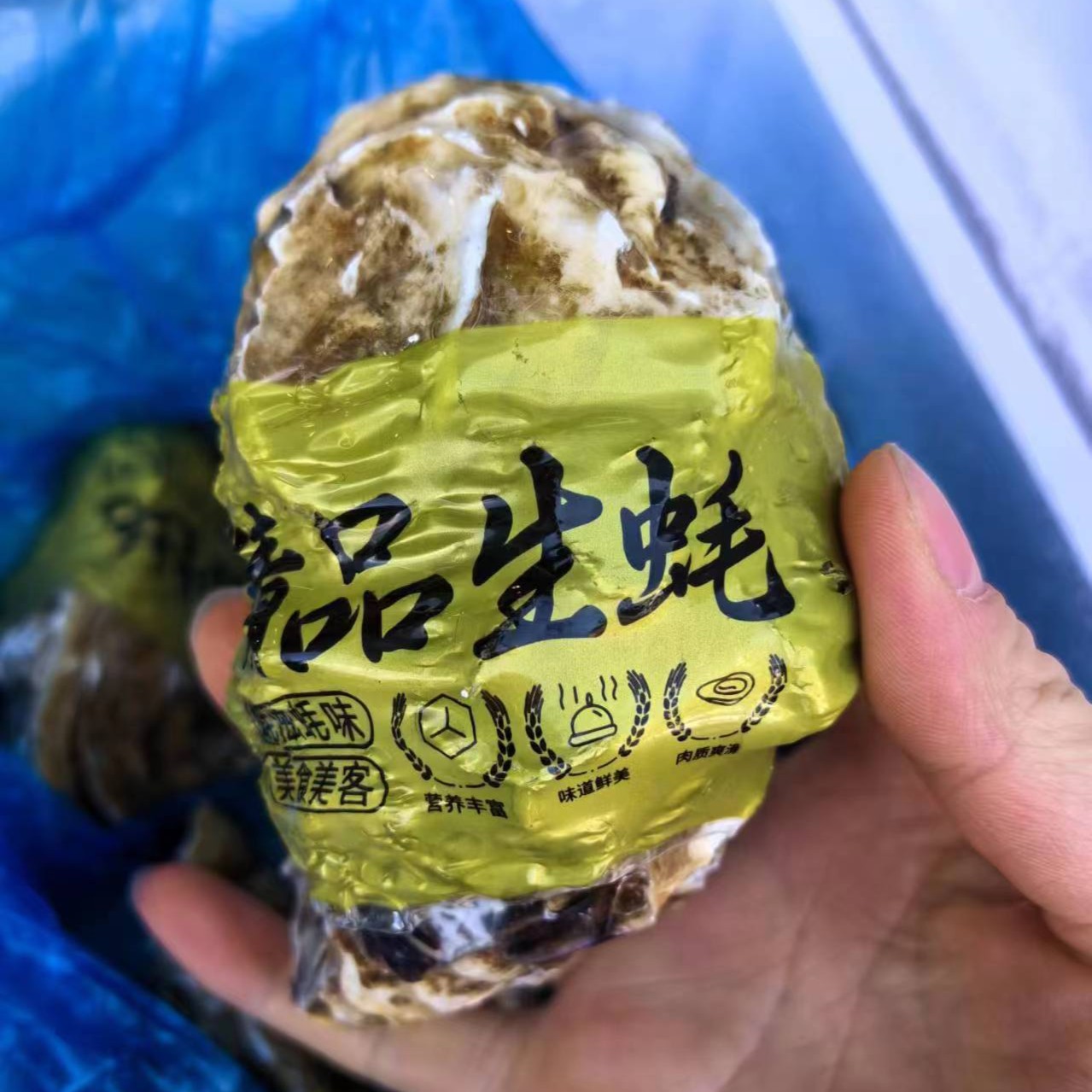 乳山大生蚝10只/份约1500g