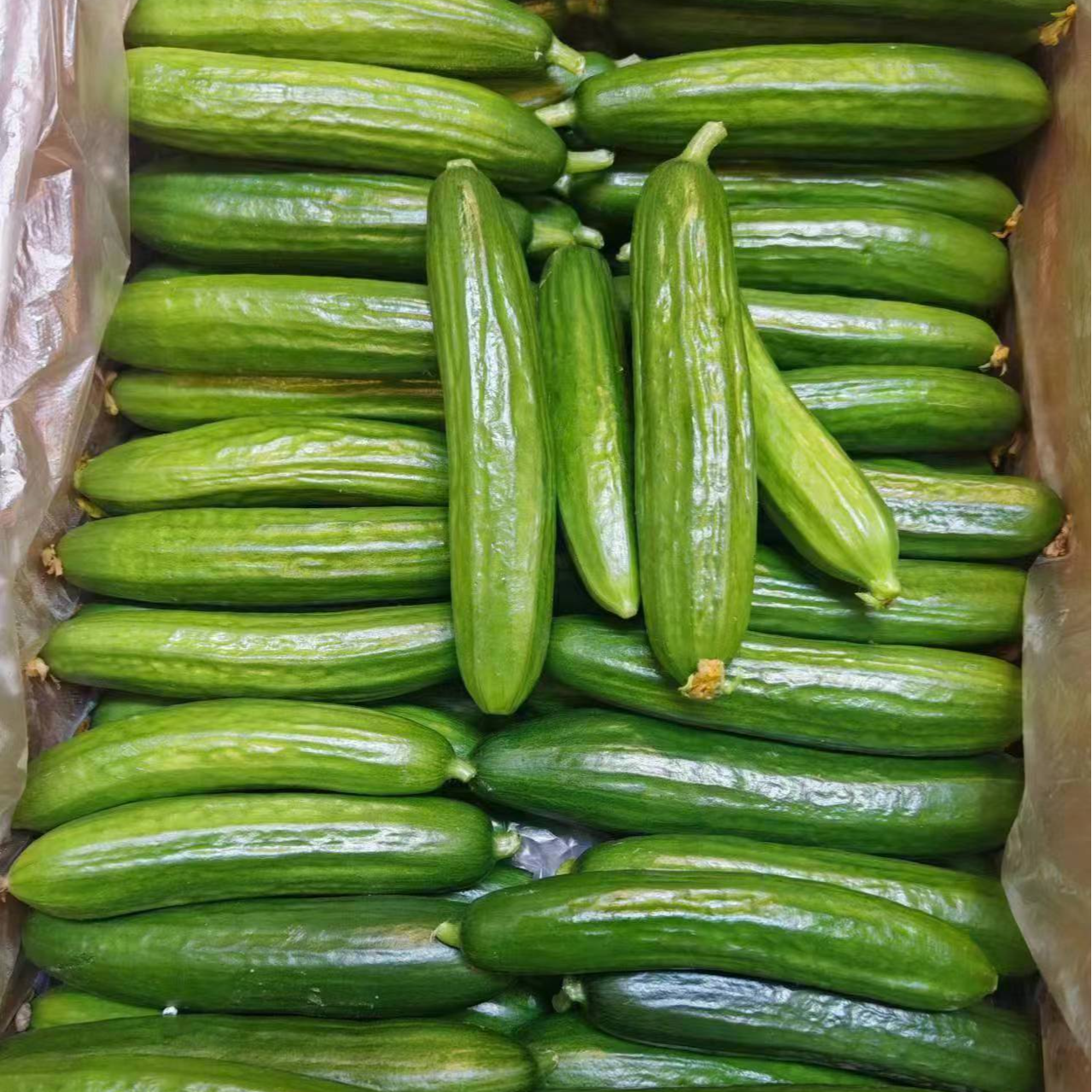 水果小乳瓜2斤/份