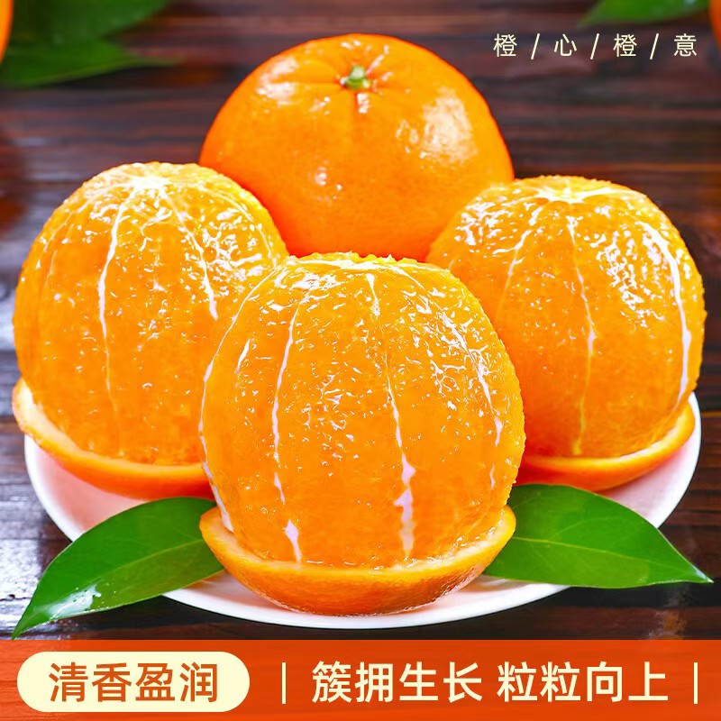 正宗赣南脐橙应季水果新鲜现摘橙子产地特产果园直发大果现采现摘
