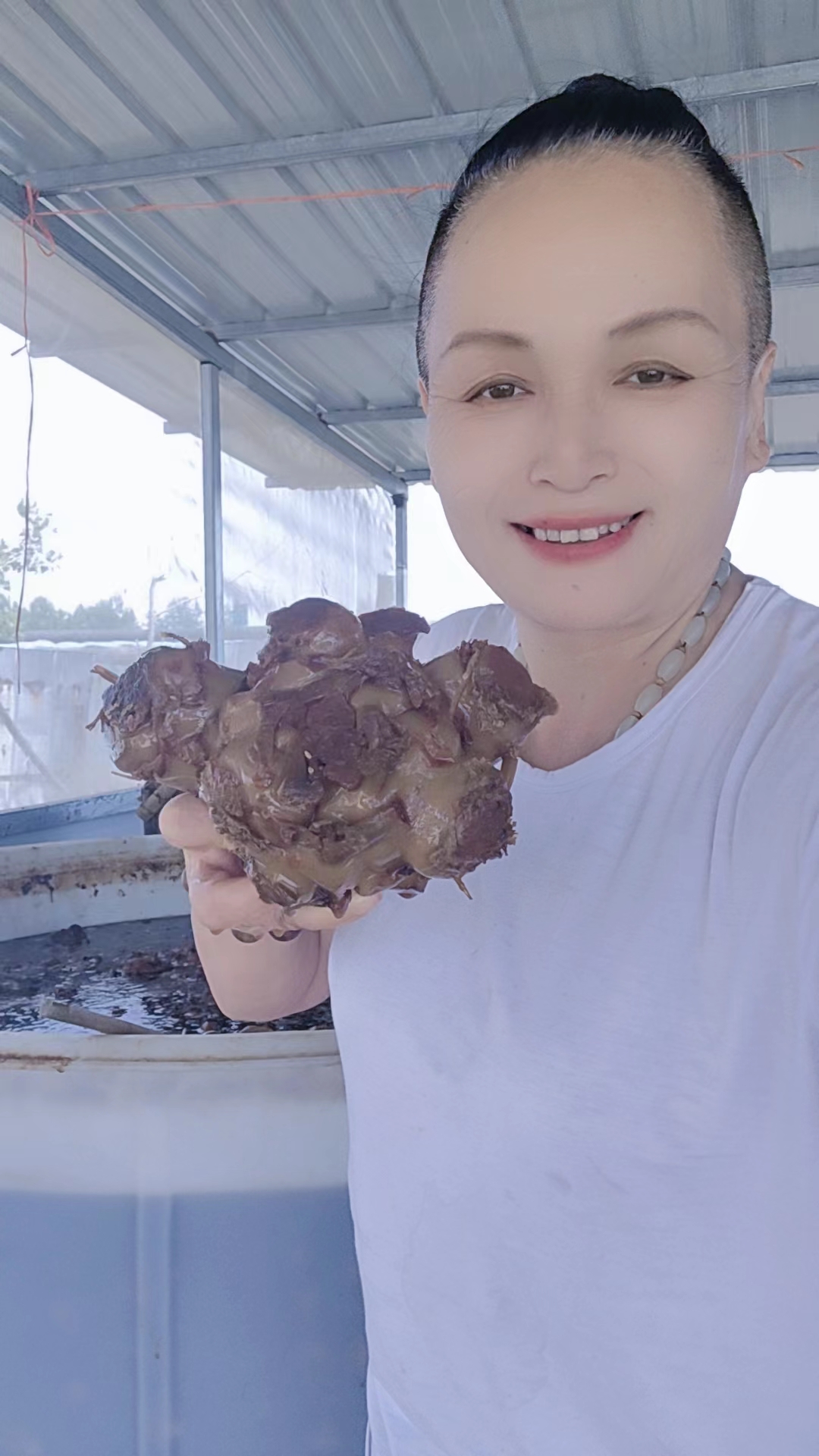 徐姐 五香狮子头咸菜