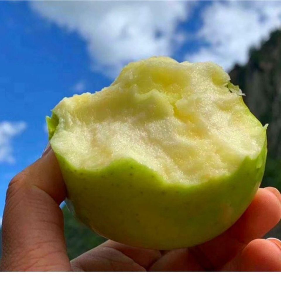 宝山明月青森水蜜桃山东青岛老憨青苹果非红富士王林当季水果鲜果