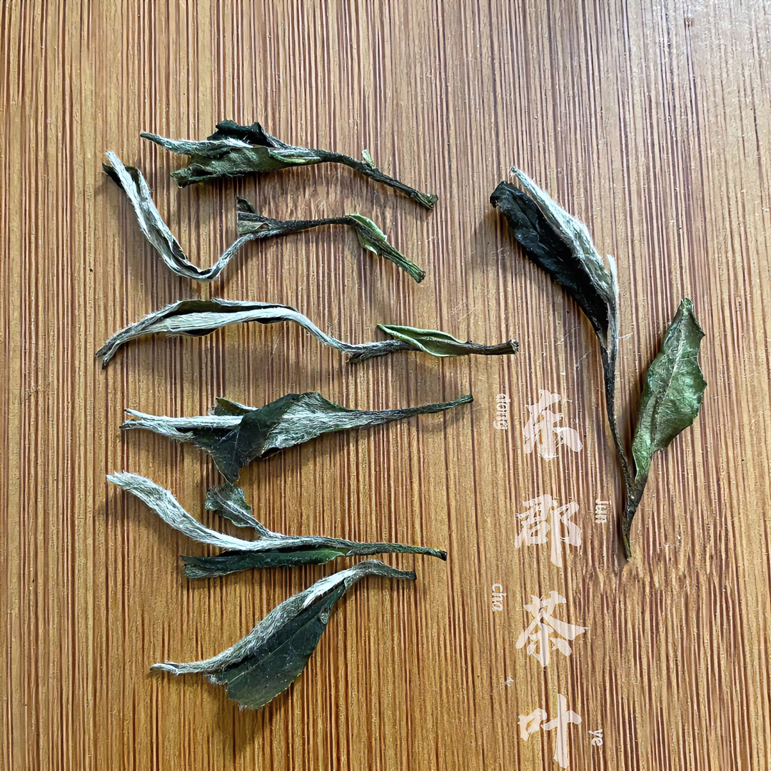 2022年福鼎手工炭焙毫香（白牡丹）袋装