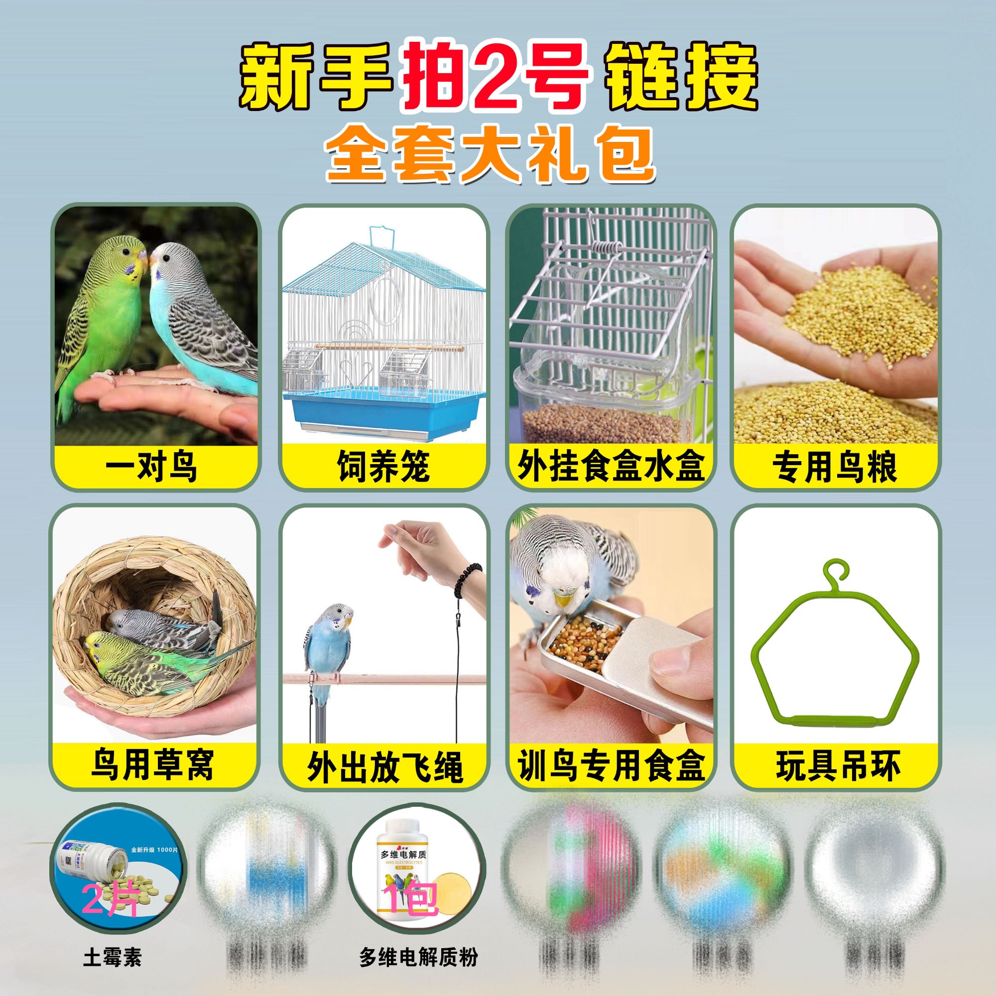 新手大礼包【2只鸟+加厚鸟笼+鸟窝+鸟粮+训鸟盒+放飞绳】