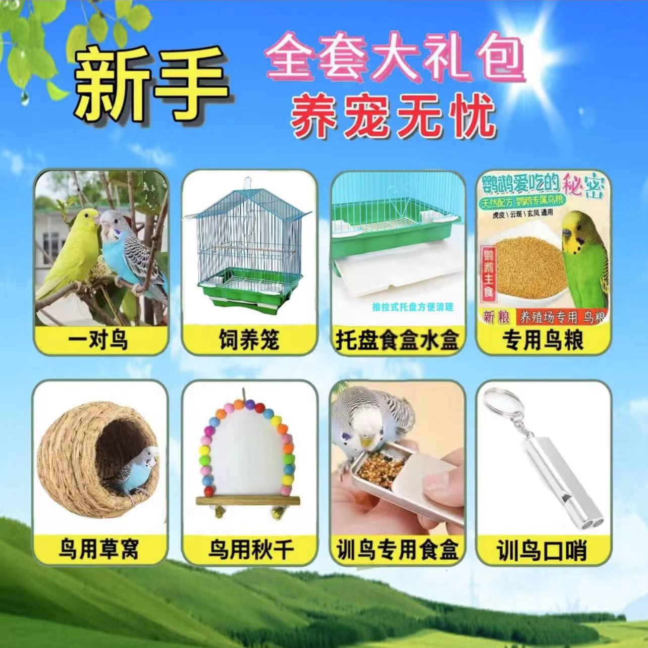 手玩鹦鹉新手大礼包【鹦鹉2个+加厚鸟笼+鸟窝+鸟粮+玩具】