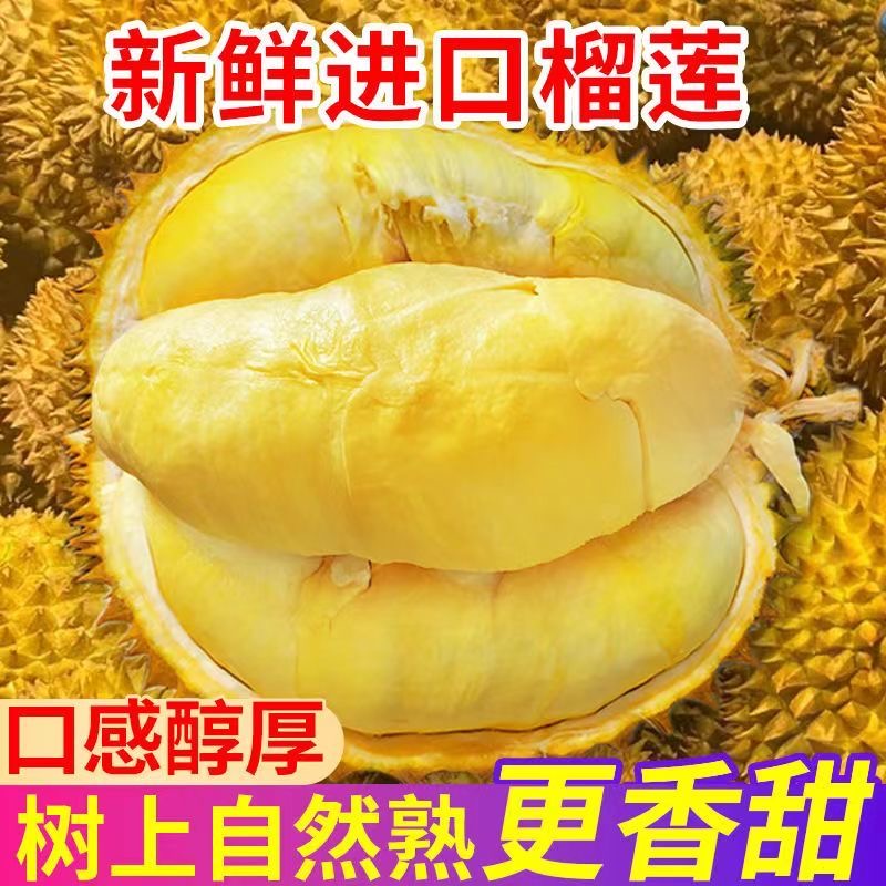 小马哥称重-新鲜金枕榴莲催熟吃放裂口吃水份流水10%