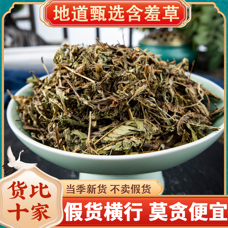 中药材特级野生含羞草 红骨茎正品新货怕羞草 害羞草 感应草500