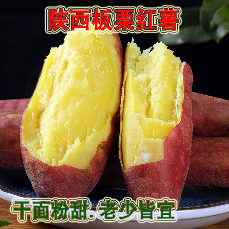 净重5/9斤陕西板栗红薯临潼板栗红薯粉糯香甜肉质细腻烤地瓜