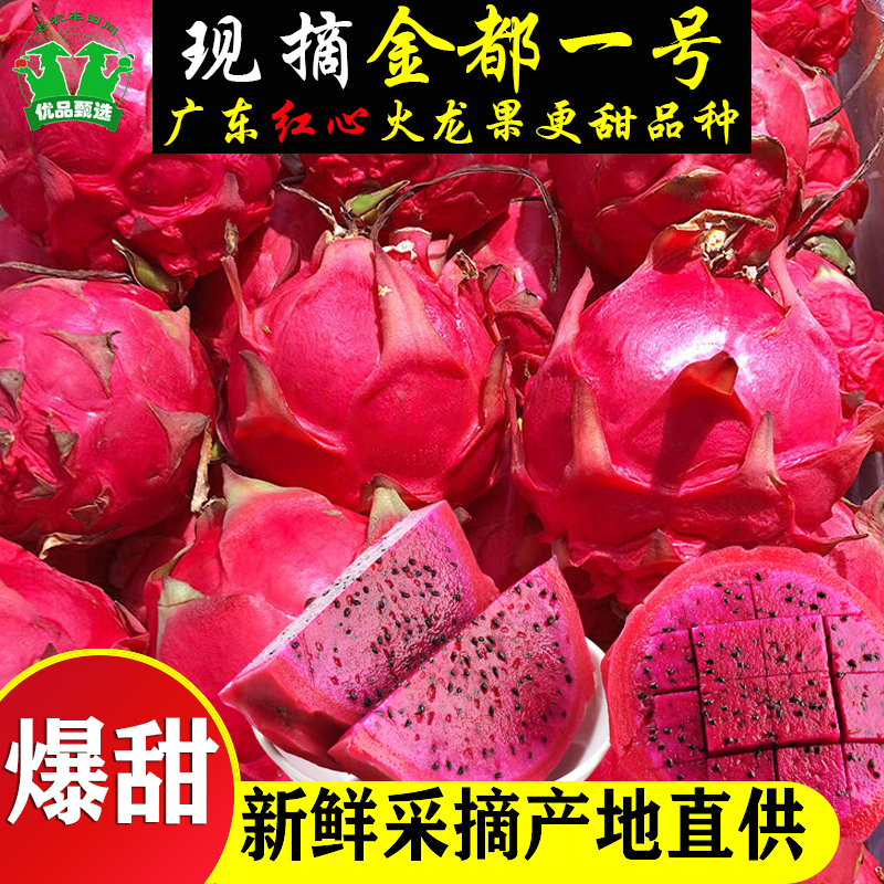 广东新鲜采摘红心火龙果现摘现发甜皮薄多汁当季水果孕妈妈可吃