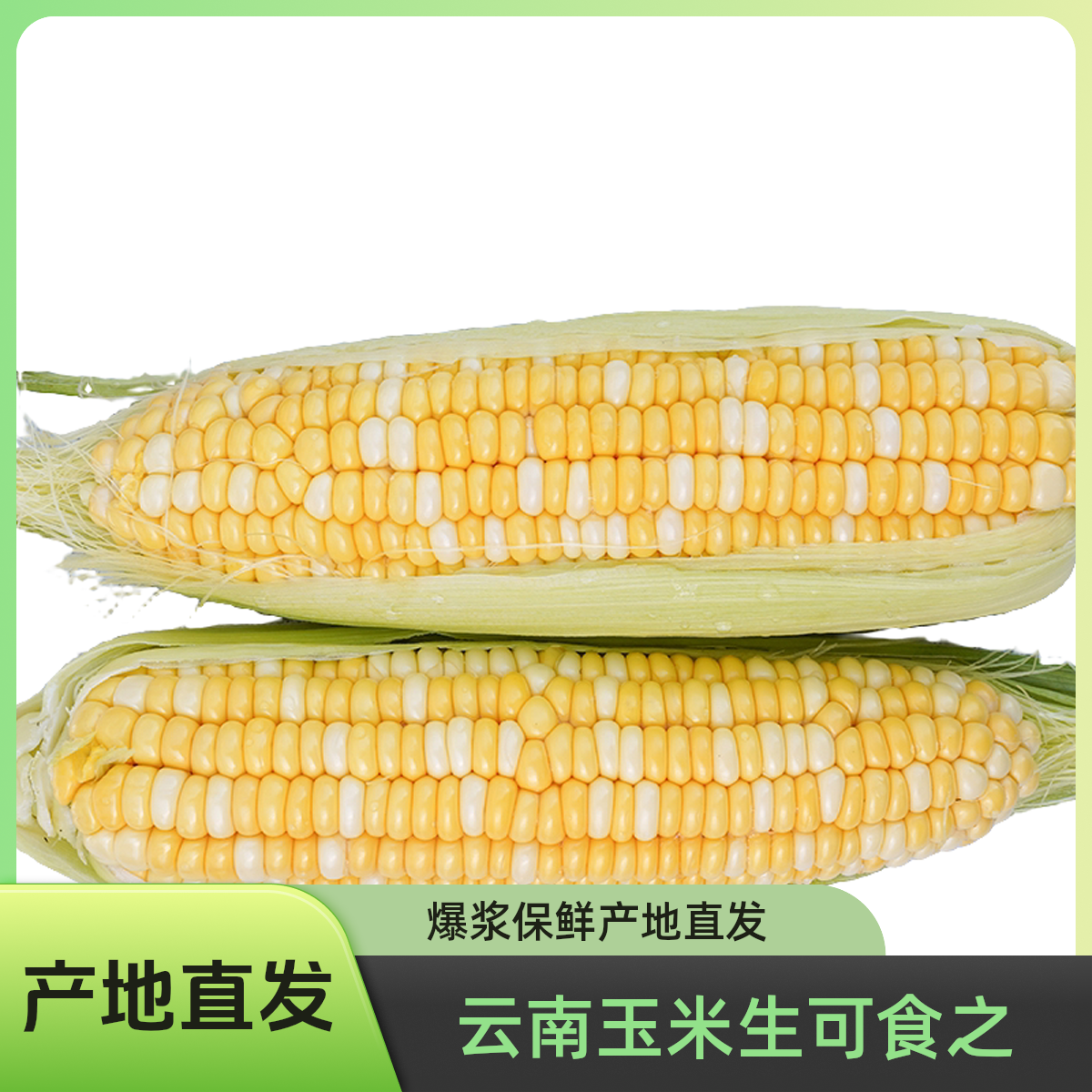 云南高原新鲜水果玉米甜玉米爆浆保鲜产地直发金银双色