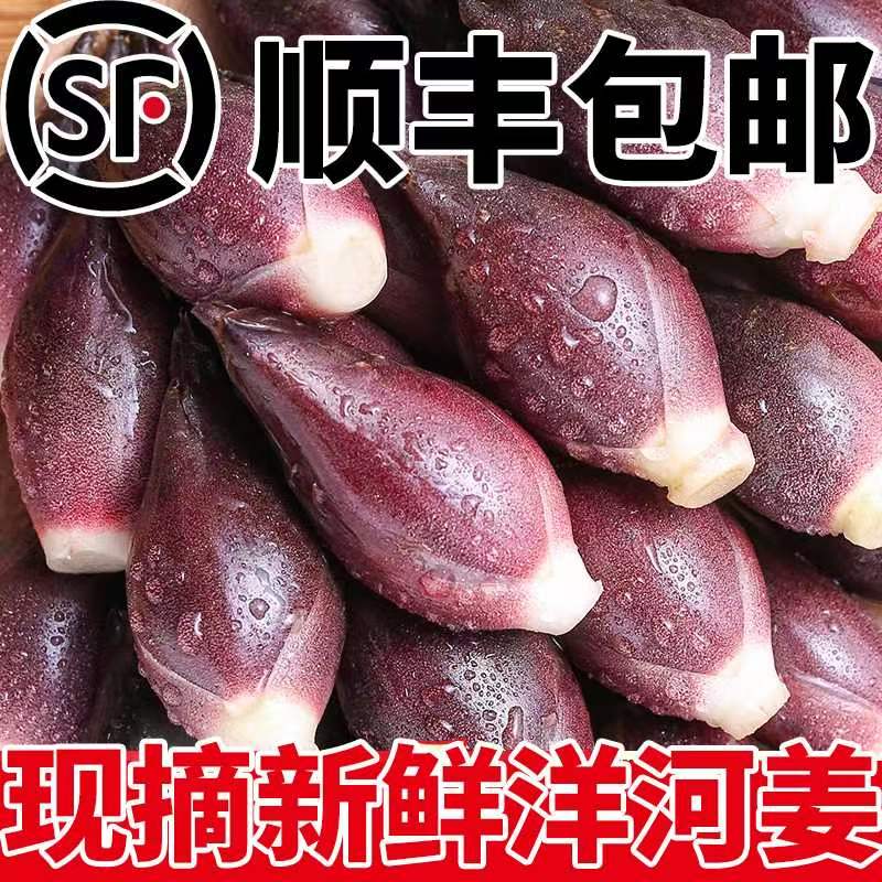 【顺丰】新鲜洋荷姜洋河鲜嫩姜洋火可腌制天然食品蔬菜