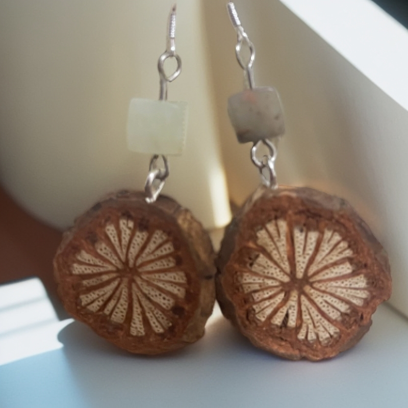 中药耳饰  大血藤  