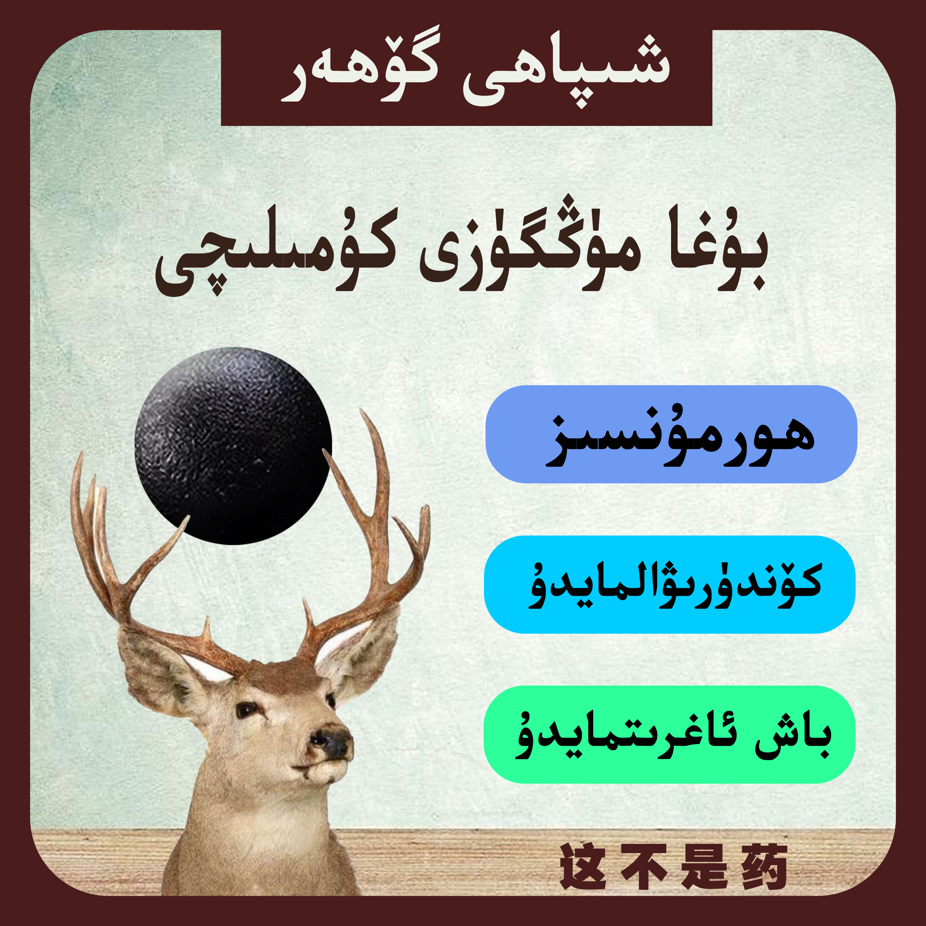 包装  بۇغا مۈڭگۈزى كۇمىلىچى