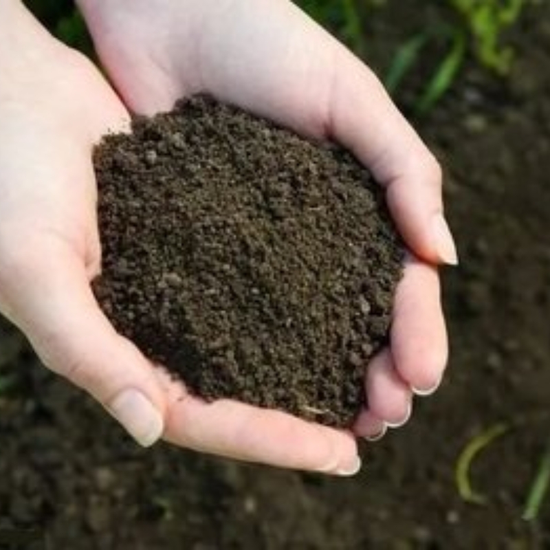 【牡丹芍药盆栽专用土】优质东北草炭土  爆根土疏松透气保水性好
