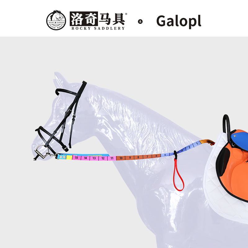 儿童刻度缰  马术运动  洛奇马具  8208001