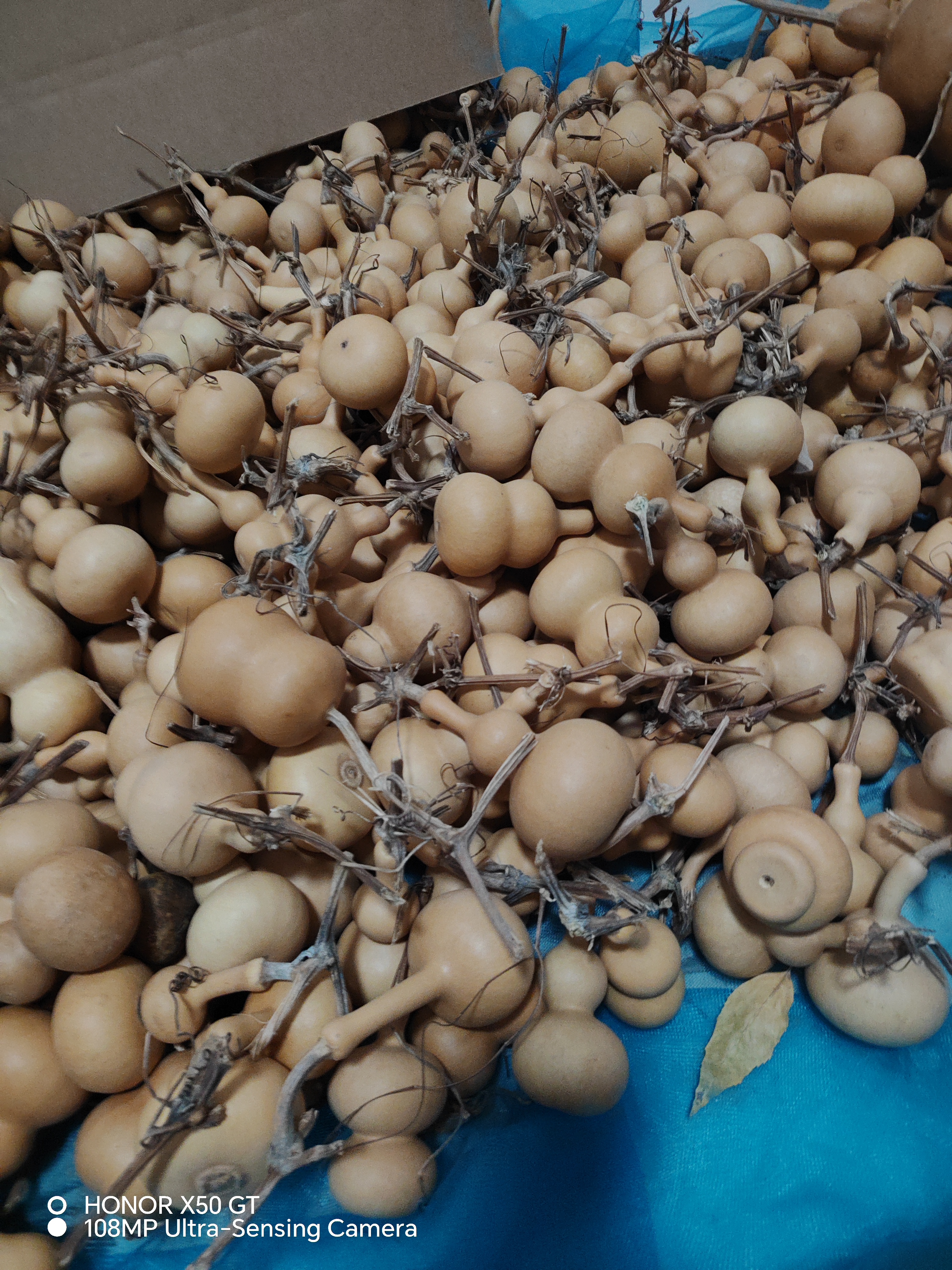 葫芦批发混装，八宝，天坛墩苹果，辣椒，冬瓜