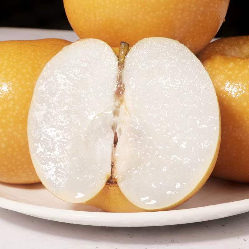 山东正宗秋月梨新鲜采摘4斤装皮薄清甜多汁爽口