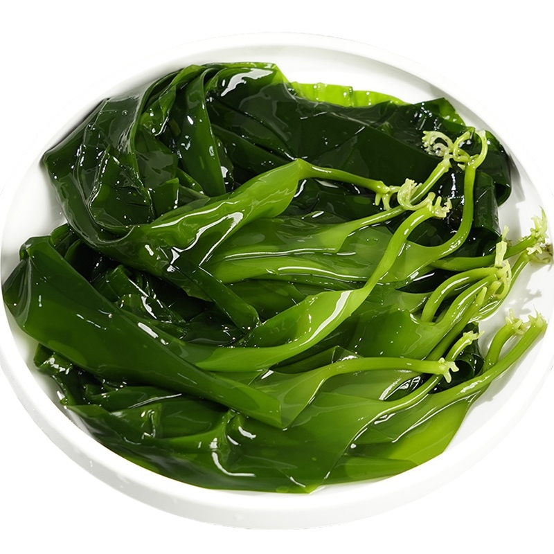 福建霞浦盐渍小海带嫩苗脆爽新鲜嫩芽家常菜火锅麻辣烫煮汤500g