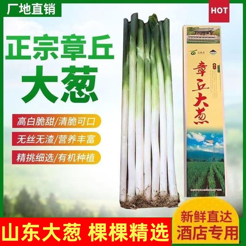 【小扬哥推荐】葱大葱山东大葱正宗非章丘大葱长白当季直供新鲜可