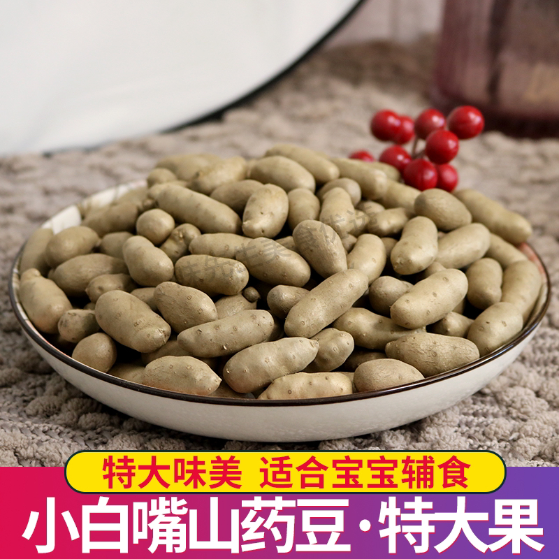 味先生2025新鲜正宗小白嘴山药豆特大果糖葫芦山药豆中大果批发
