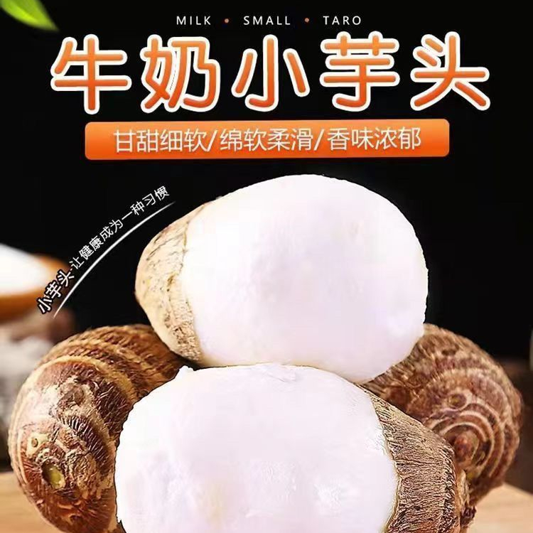 现挖新鲜芋头小芋头农家芋艿粉糯香芋小毛芋头芋儿正宗9斤