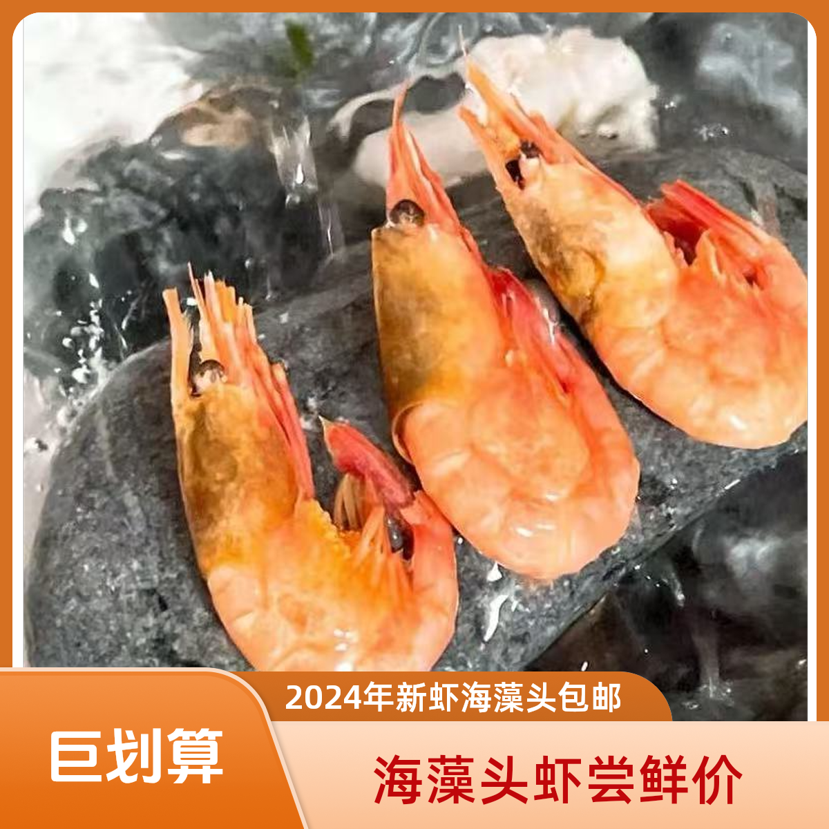 “羊毛福利”2024年新虾海藻头80-100规格有头籽不保头籽率