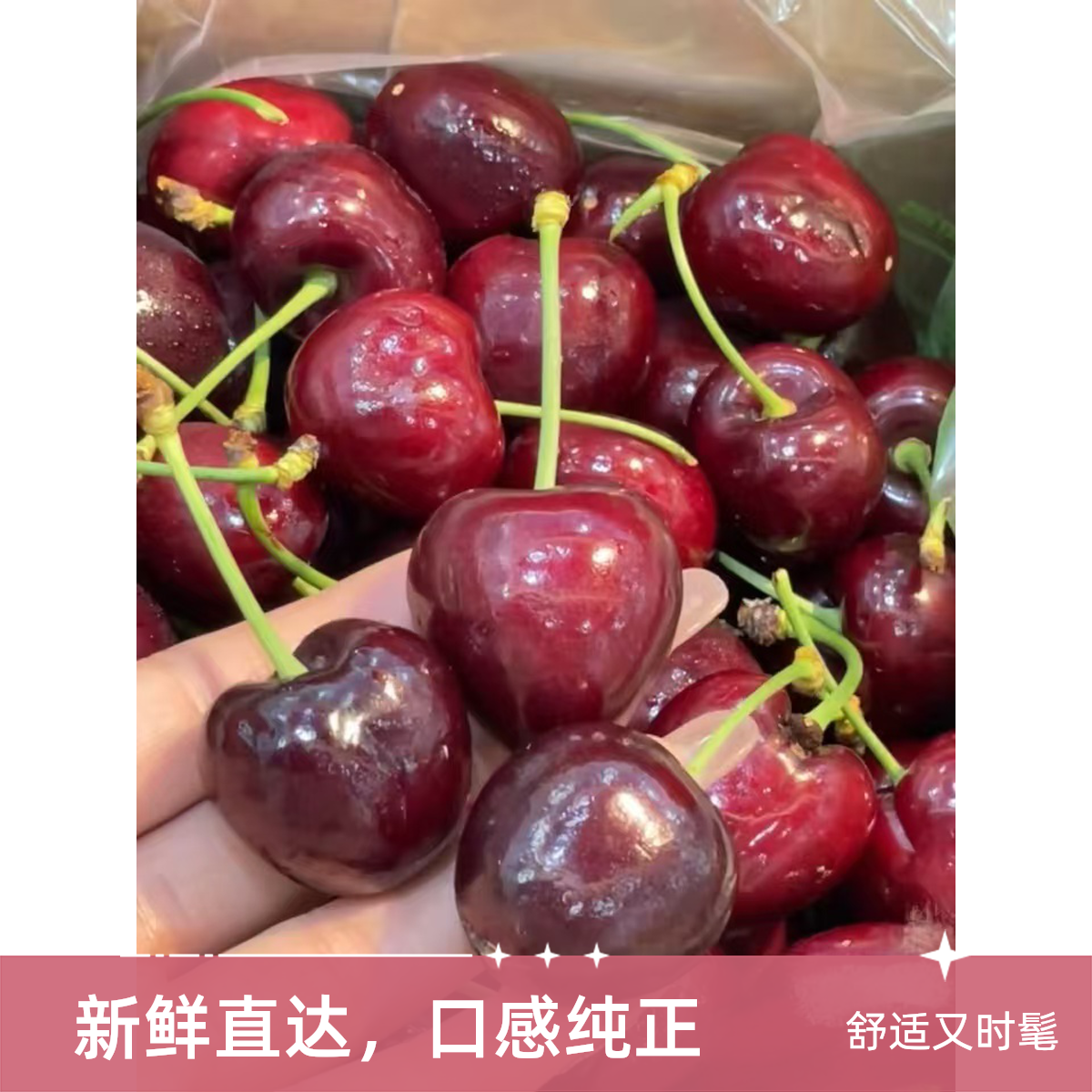 JD级空运车厘子350g桑提娜智利