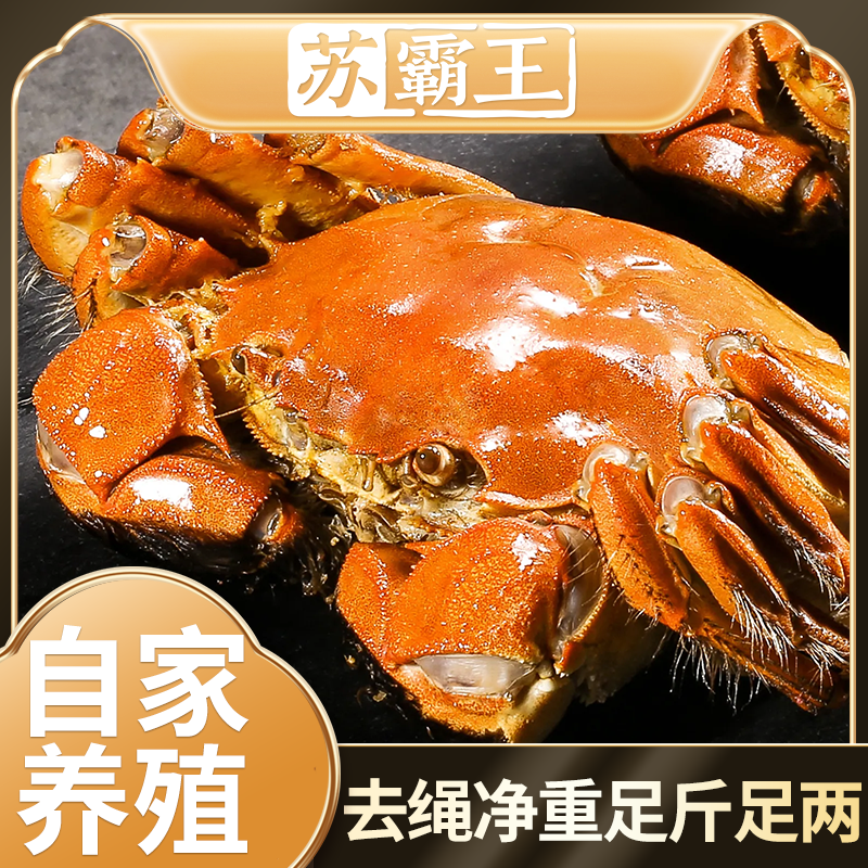 【活蟹】苏州精品大闸蟹公5.0-4.7两母4.0-3.7两加赠2只4对-5对