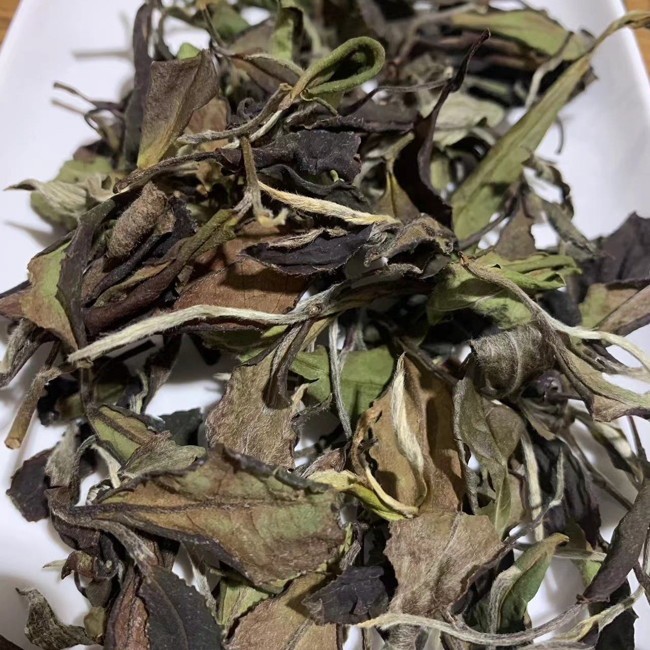 王三哥【大白品种】日照白茶