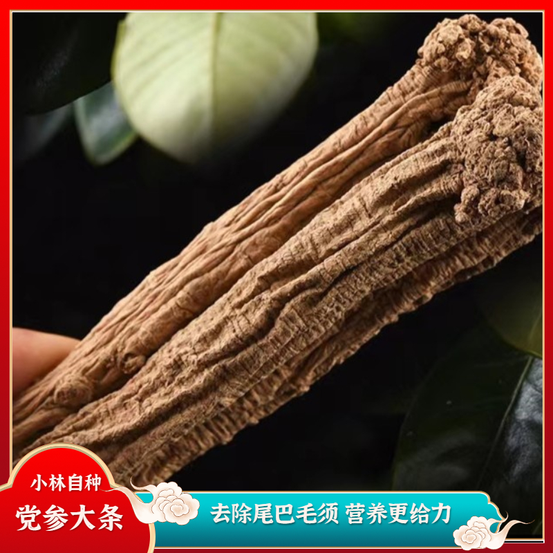 党参段100克 自种  原产地甘肃岷县 原产地 优质滋补人参营养煲汤