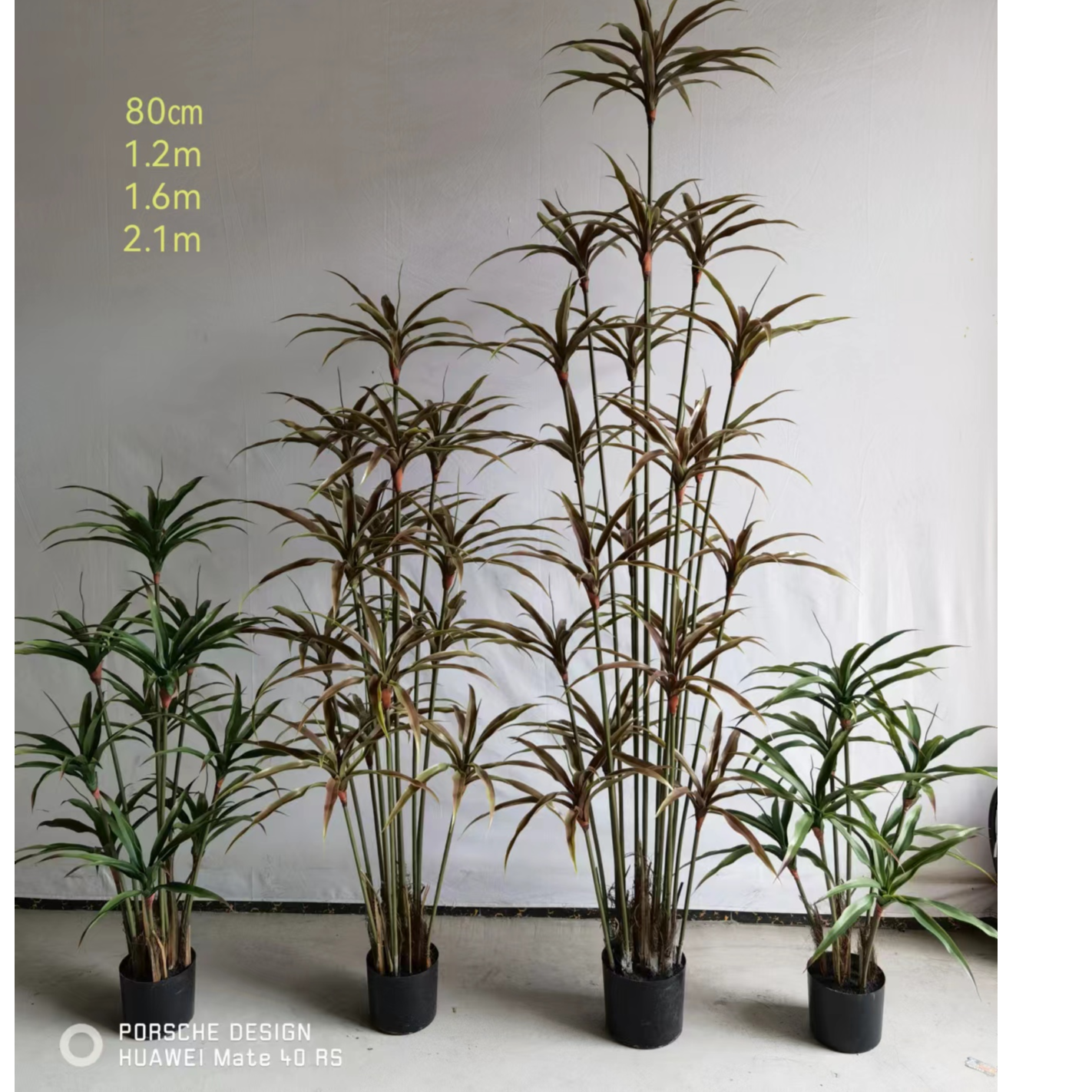 仿真千年数仿真绿植仿真植物