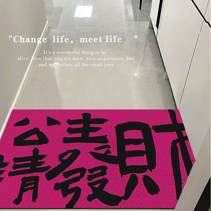 丝圈入户门地垫ins风家用玄关门垫耐磨恶搞文字脚垫防水可定制