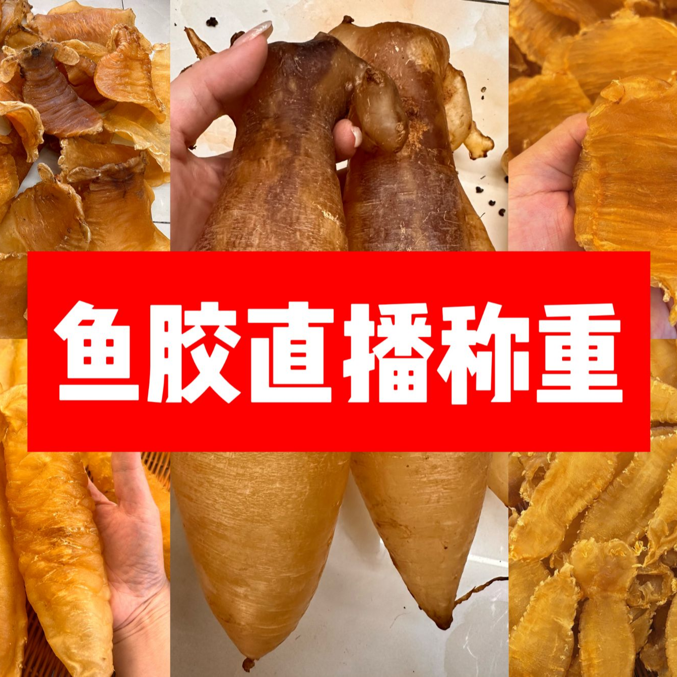 C鱼胶直播称重链接