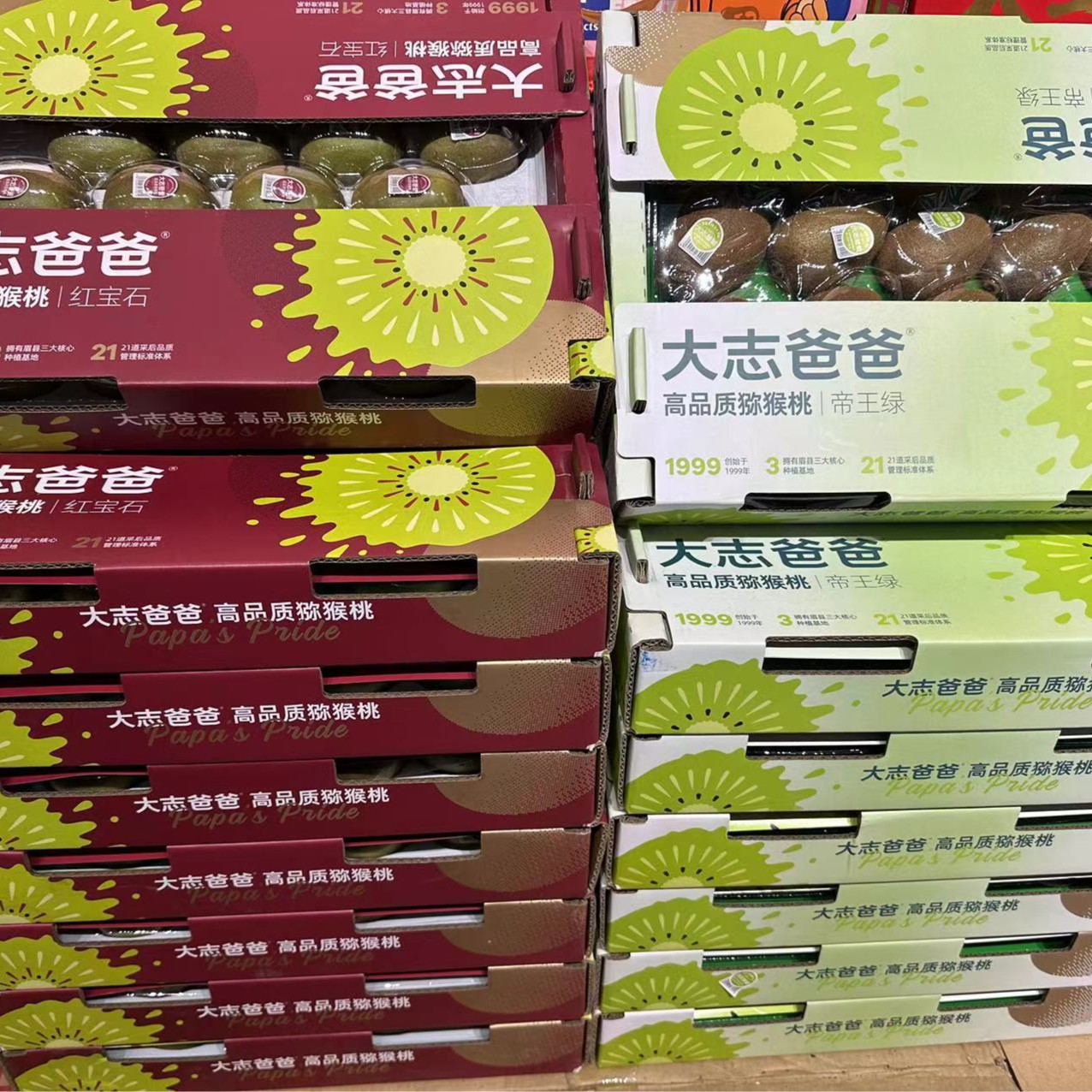 【4.5斤左右】大志爸爸猕猴桃（红心/绿心）