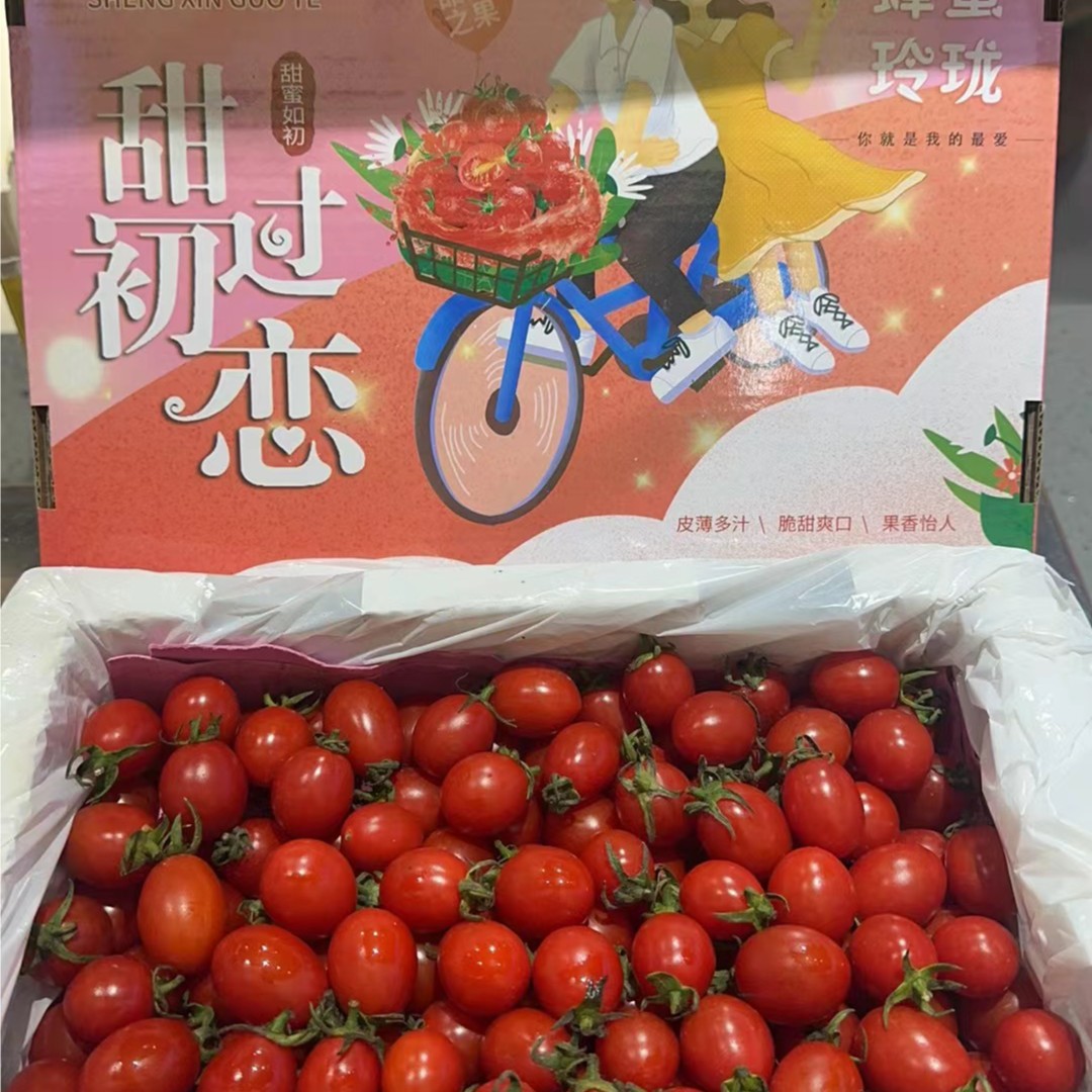 【更知果语沁芳苑】蜂蜜玲珑千禧小番茄（2.5斤左右）