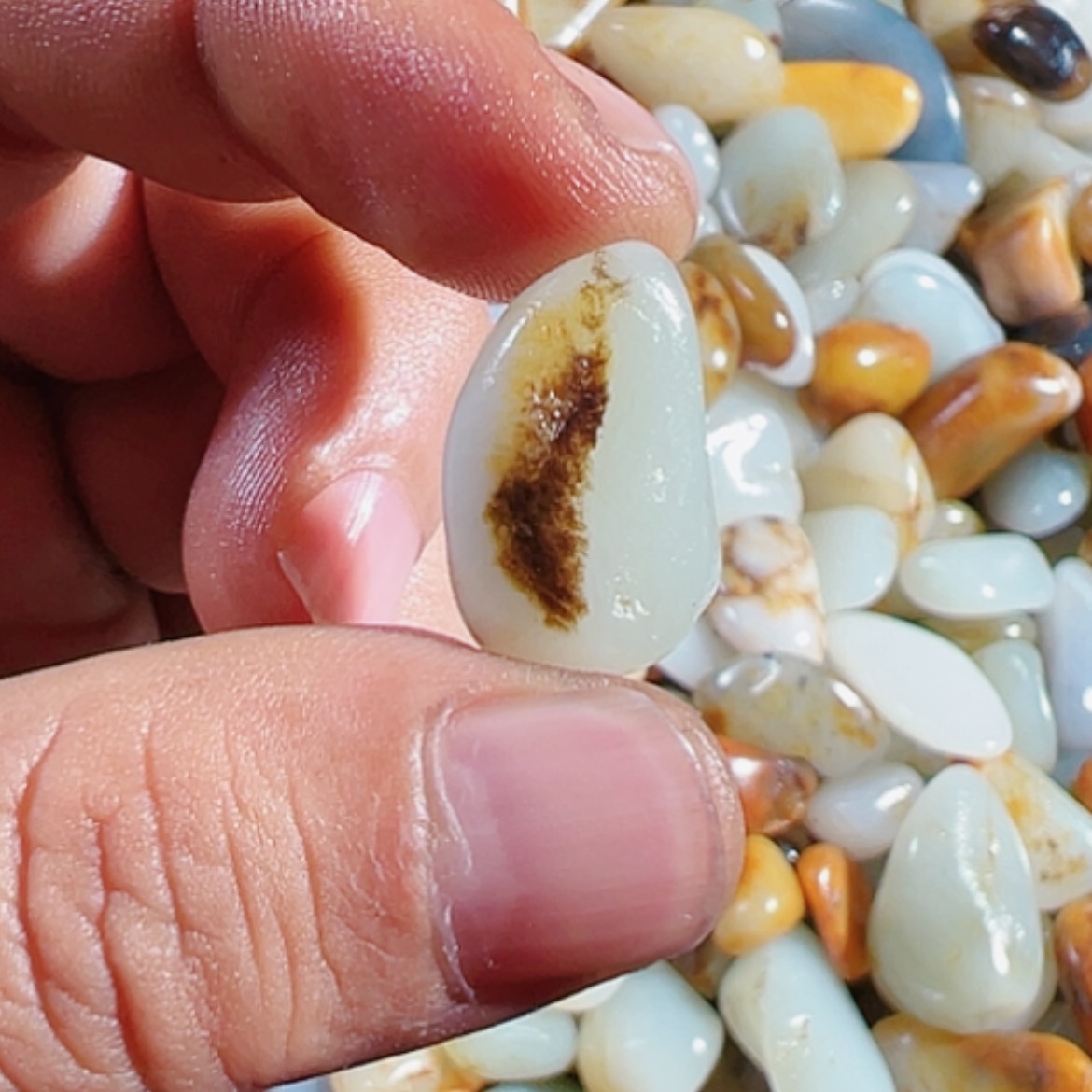 【闪购商品】和田玉（糖玉）手链未镶嵌58