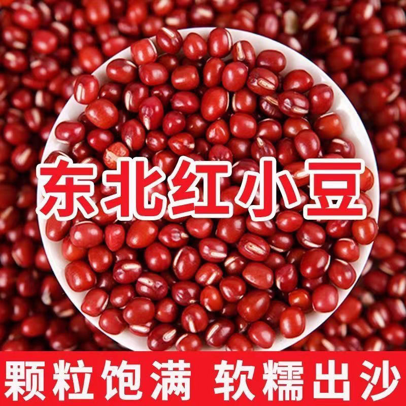 2025年东北红小豆珍珠粒黑龙江新红豆3/5斤煮粥煲汤馅豆芽