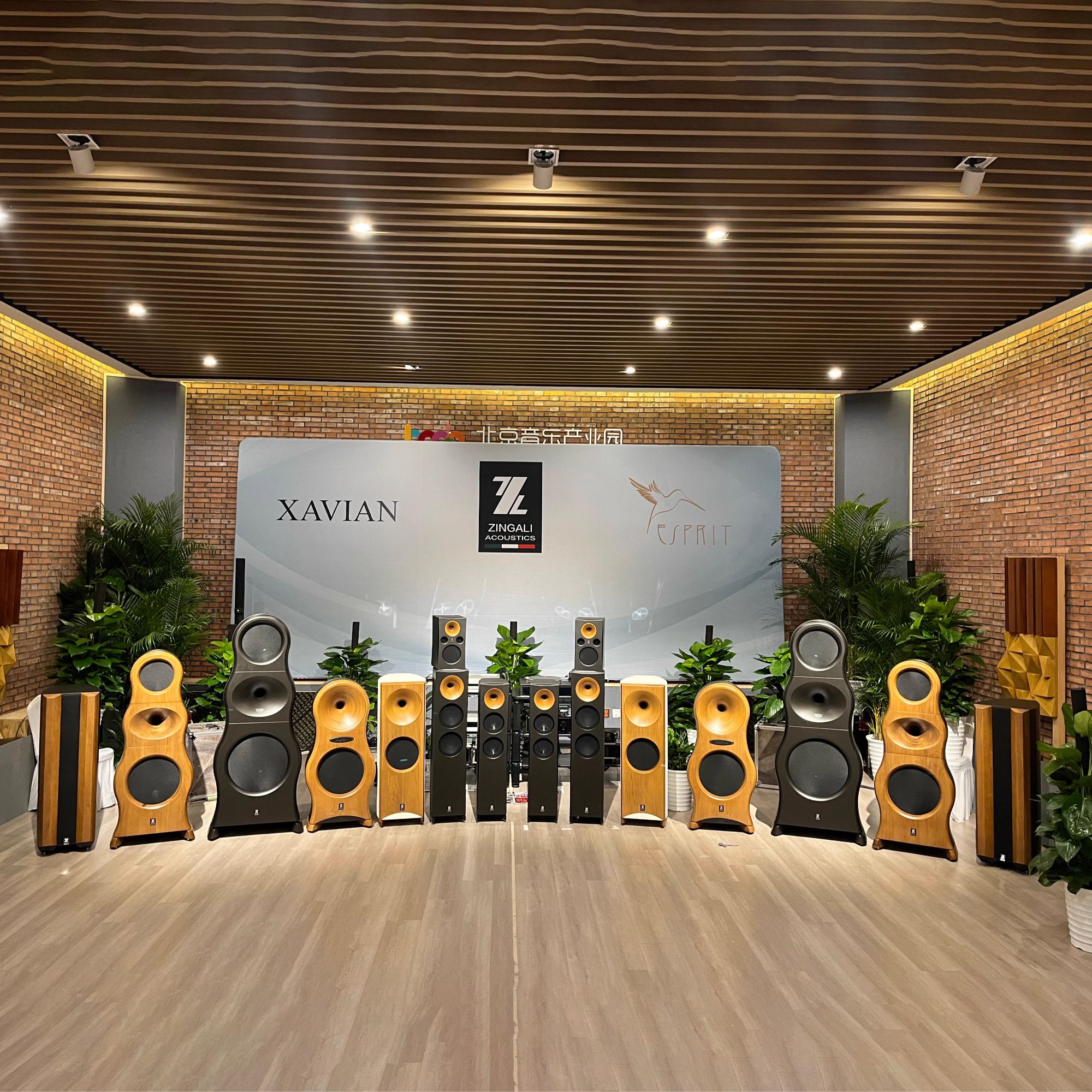 原装进口意大利ZIGAIL号令QUANTUM ARRAY系列 无源发烧HIFI音箱