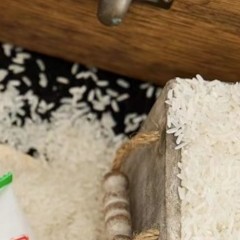 【宠粉福利】1系洣500g一袋装<非 防护用品 居家日用/非加湿器