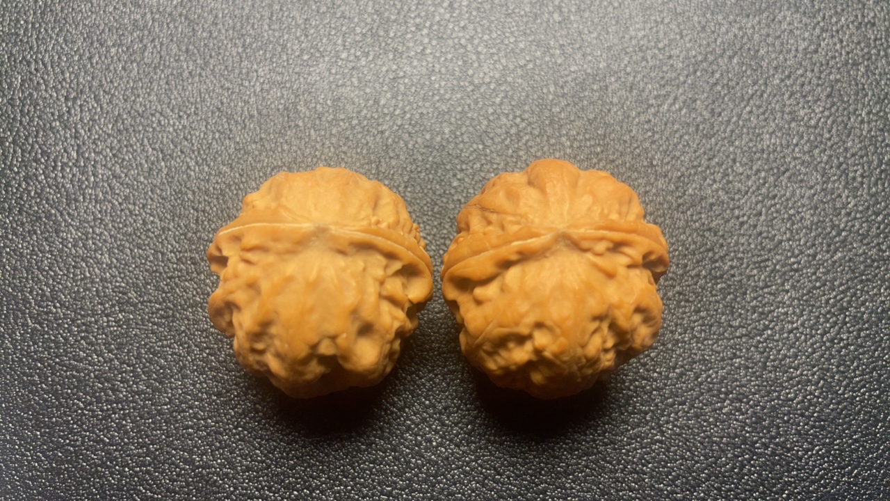 文玩野生大肚粗筋小核桃