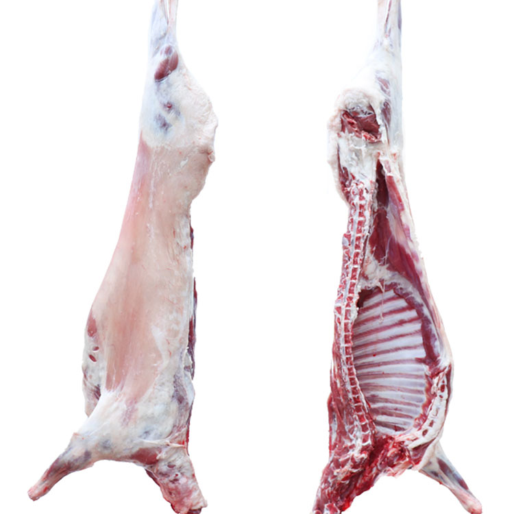 锡盟羔羊白条羊半只