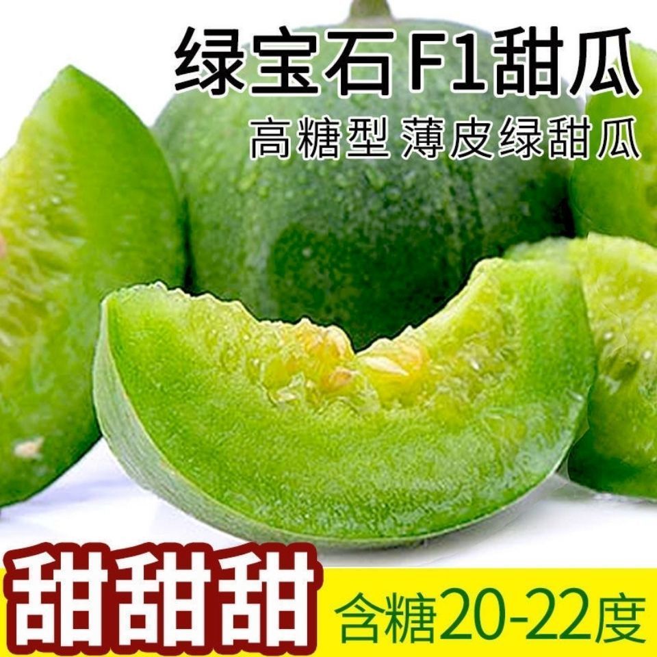 绿宝石甜瓜超甜薄皮早熟甜瓜高产香瓜四季播水果