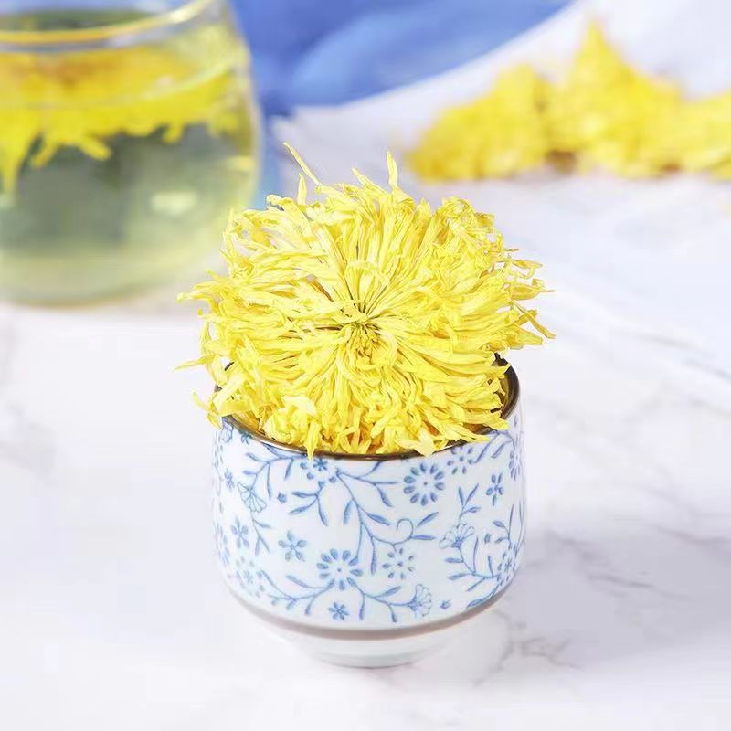 菊花茶金丝皇菊特级一朵一杯花茶大花养生茶去火下火冲泡蜜香精选