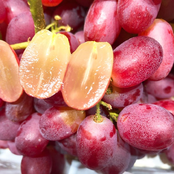 无籽提（带框18斤左右）+草莓2小盒