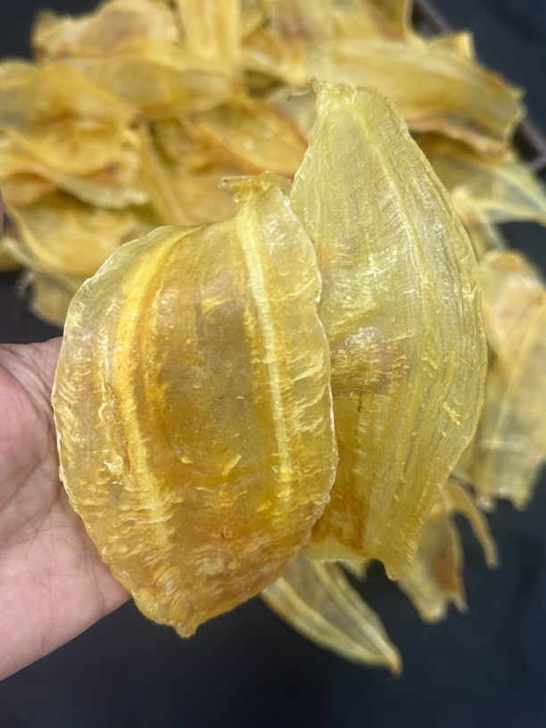 济雄滋补竹叶鱼胶 足干老货250-500克