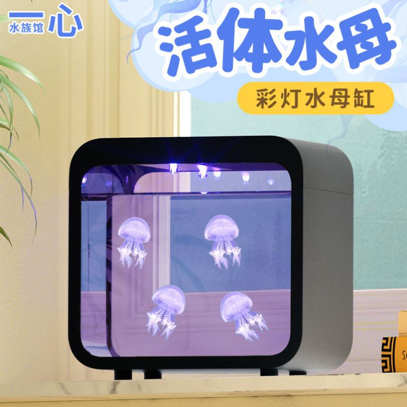 水母活物缸好养儿童学生桌面小宠物迷你懒人水族箱气动赤月巴布亚