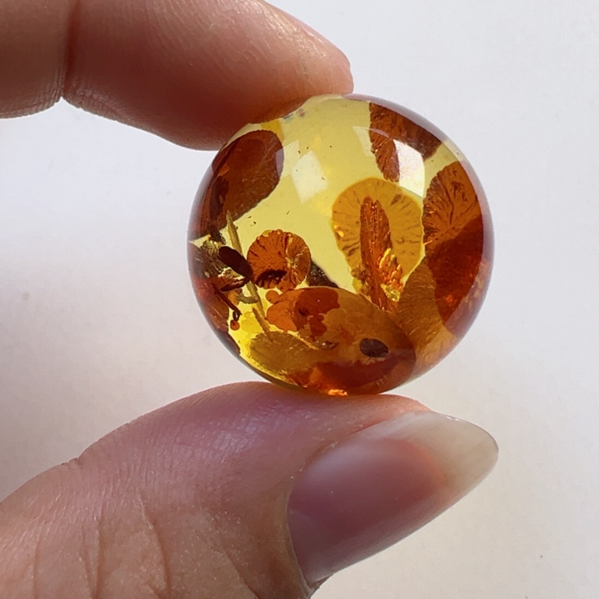 【闪购商品】琥珀（花珀）项圈未镶嵌