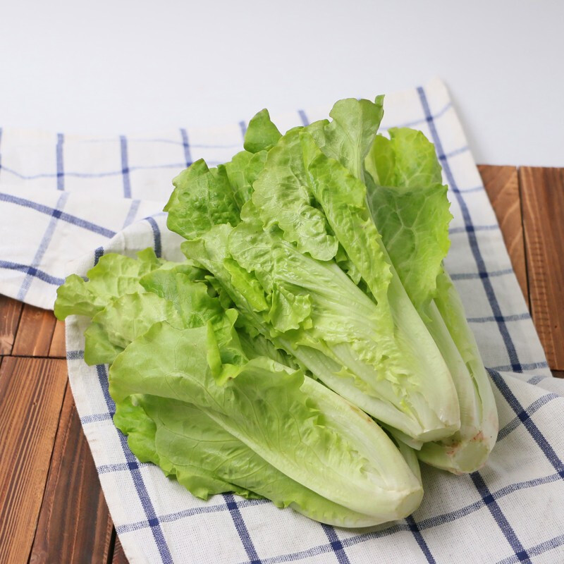 生菜(生财) 叶生菜约1kg/份